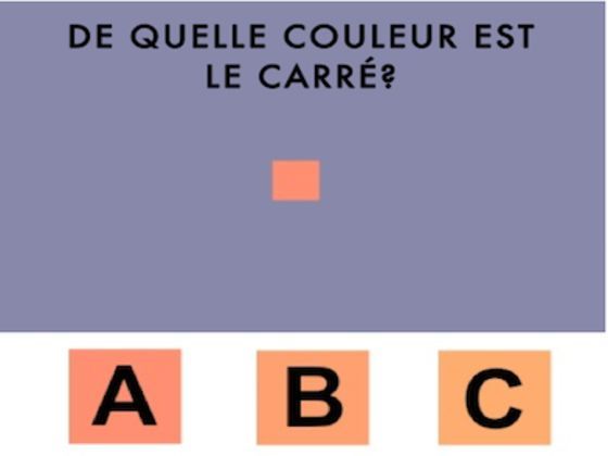 Ce test visuel va déterminer votre genre de personne
