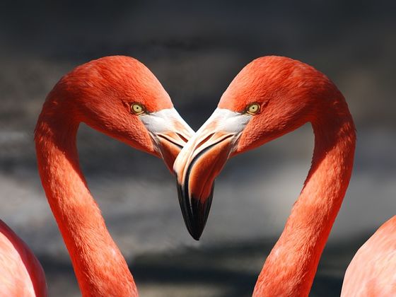 This Short Quiz Will Tell You How Successful Your Love Life Will Be