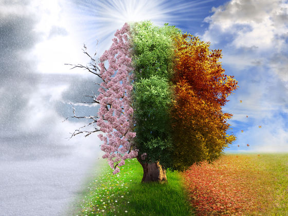 Which Season Best Describes Your Soul?