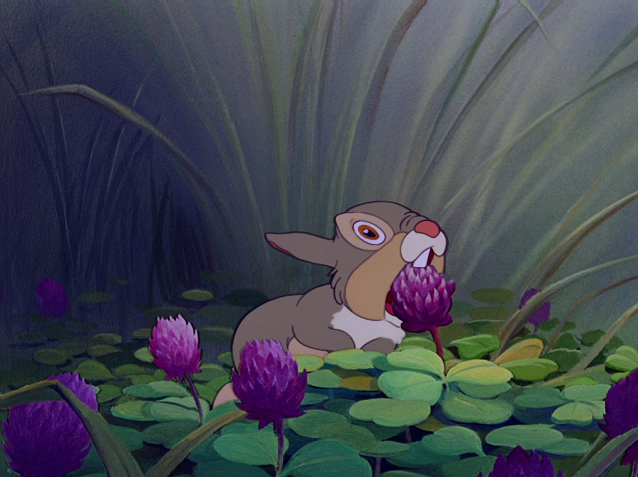 464b794e 101b 4149 9321 c2b9f9242c7a