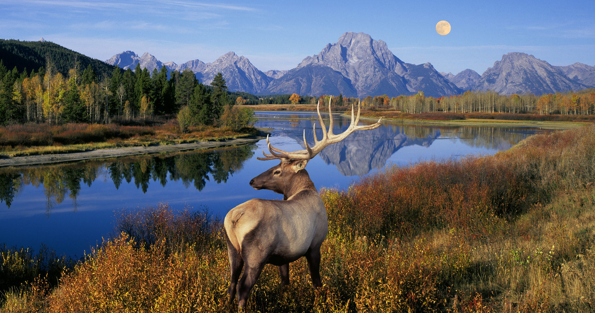 Celebrate The National Park Service s Centennial By Matching A Photo Of Celebrate The National Park Service s Centennial By Matching A Photo Of