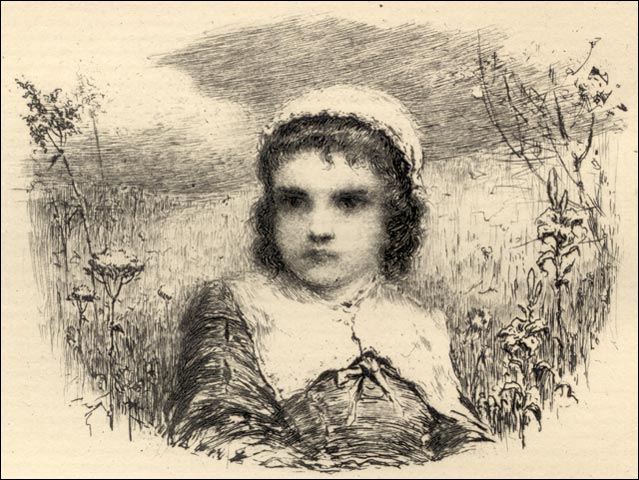 the scarlet letter wikipedia the free encyclopedia