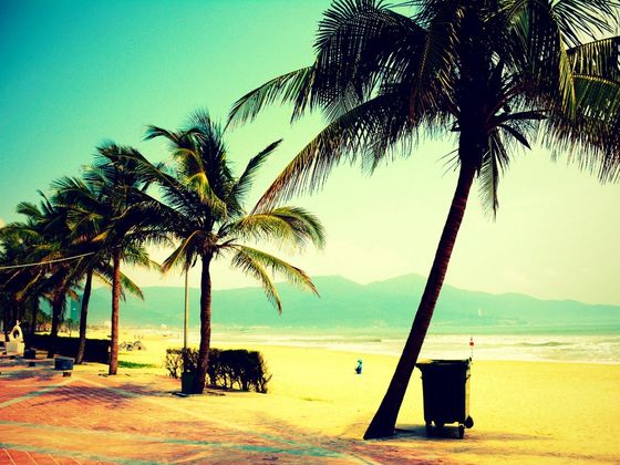 vietnam vacation Spots: What you need to know?