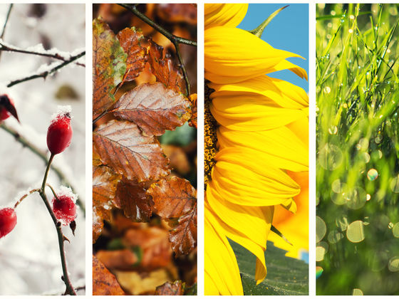 Take This Quiz and We'll Guess Your Favorite Month