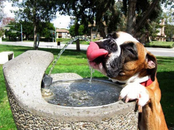We Know How Much Water You Drink In A Day Based On These 10 Questions