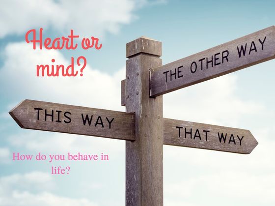 Heart Or Mind? This Test Will Tell Us How You Behave In Life.