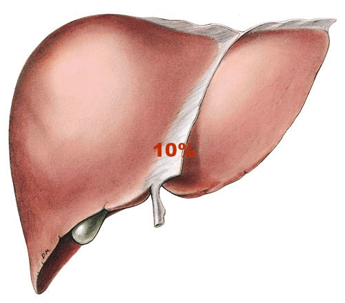 Behold The Amazing Liver Quiz Playbuzz