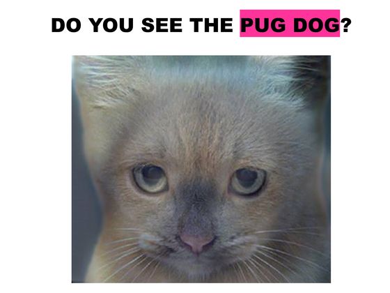 Only Certain Types Of Introverts Can See The Hidden Objects In These Images