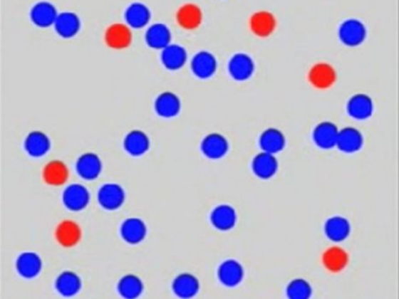 Solo l'uno per cento di tutti riesce a vedere la lettera nascosta nell'immagine - riconosci quale?