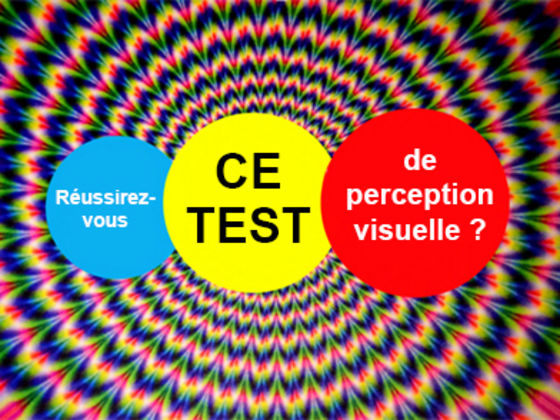 Serez-vous capable de TOUT voir ? Vraiment TOUT ?