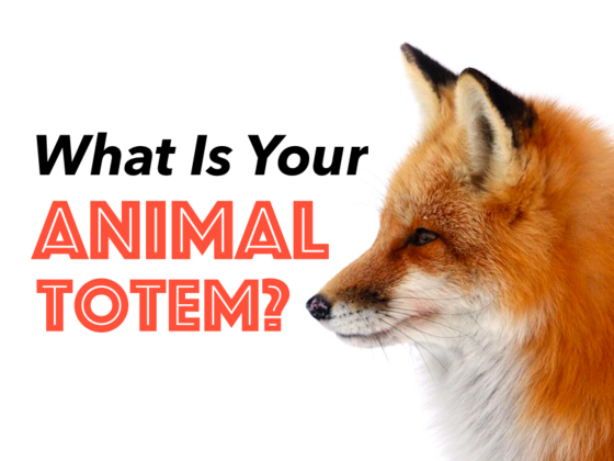 Qual é o teu espírito animal?