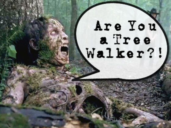 Which Walking Dead Walker Are You?