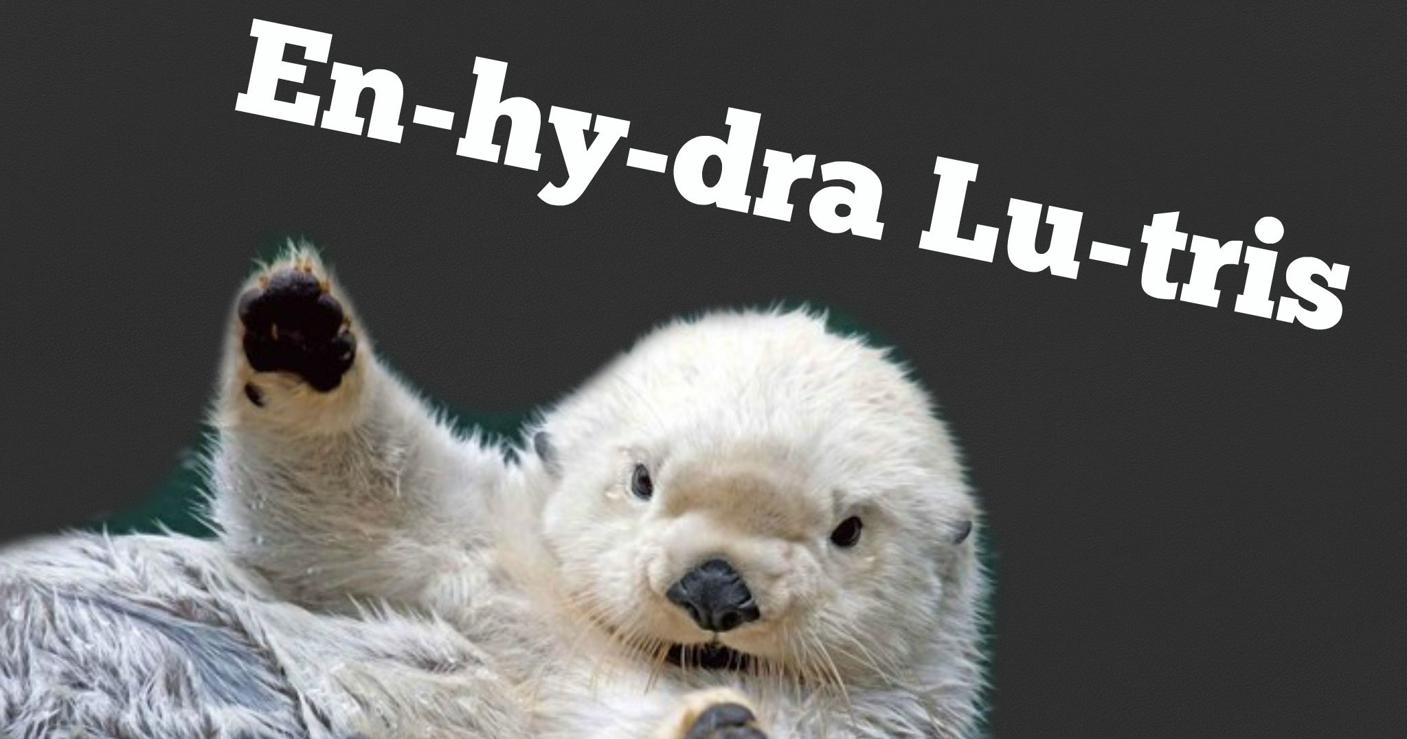 Can You Match The Animal To Its Scientific Name? Playbuzz