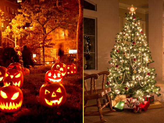 Are You Christmas Or Halloween?
