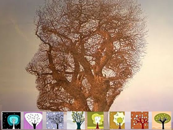 Choose A Tree And See What It Reveals About You