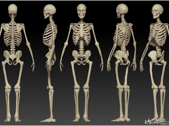Literally Zero People Can Get 10/10 On This Anatomy Test. Prove Us Wrong?