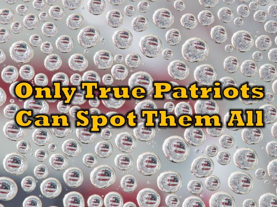 Only True Patriots Can Spot ALL The American Items!