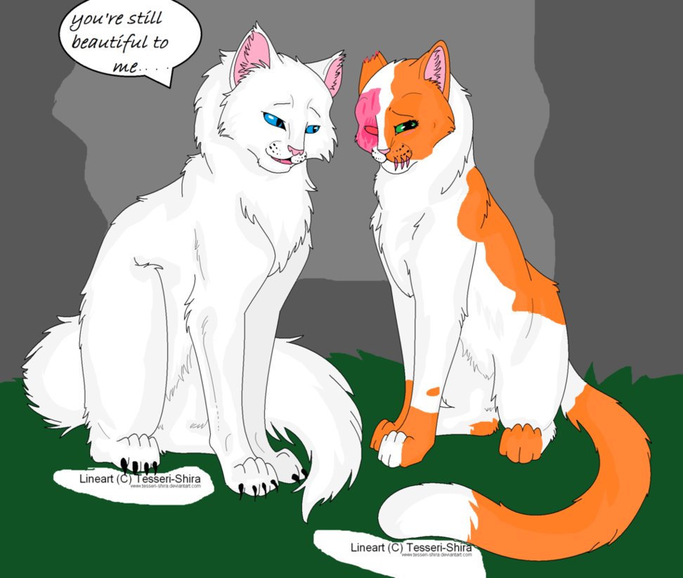 What Is The Name Of A Group Of Cats What Is The Name Of A Group Of Cats