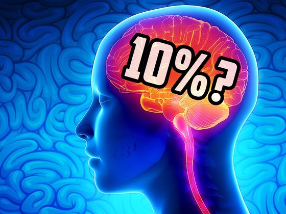 La mayoría utiliza sólo el 10% de su cerebro: ¿qué porcentaje utilizas tú?