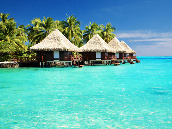 Which Paradise Island Are You?