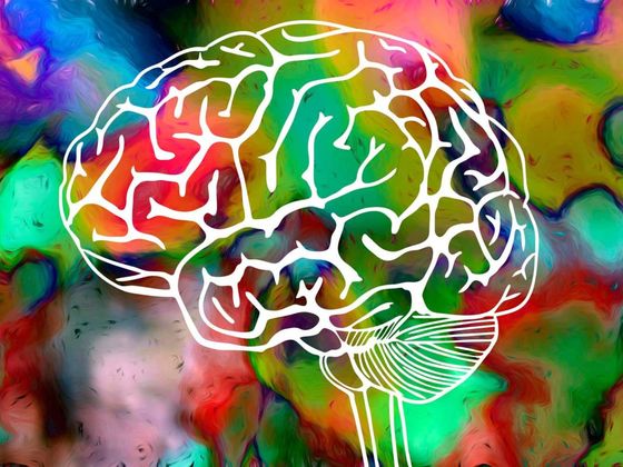 Which Hallucinogenic Would You Be?
