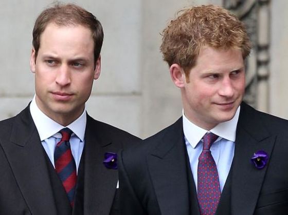 Are You More Prince Harry or Prince William?
