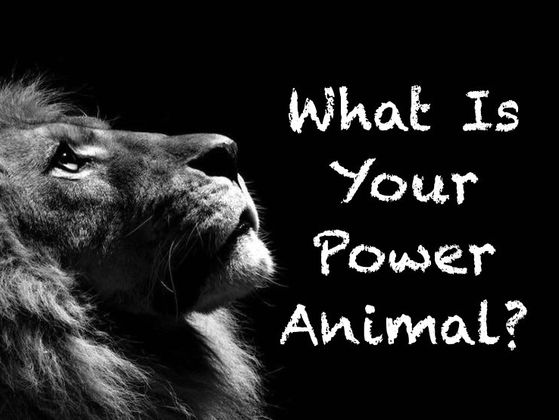 What Is Your Power Animal?