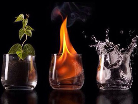 ¿Cuál de los 7 elementos naturales eres?