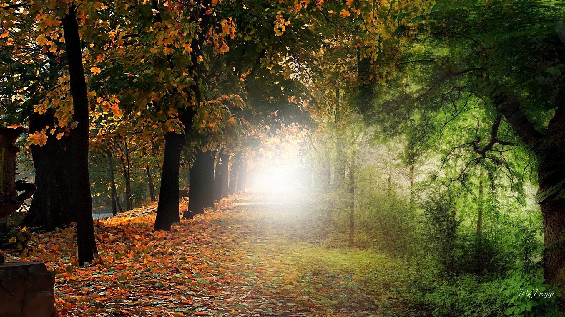 summer fall