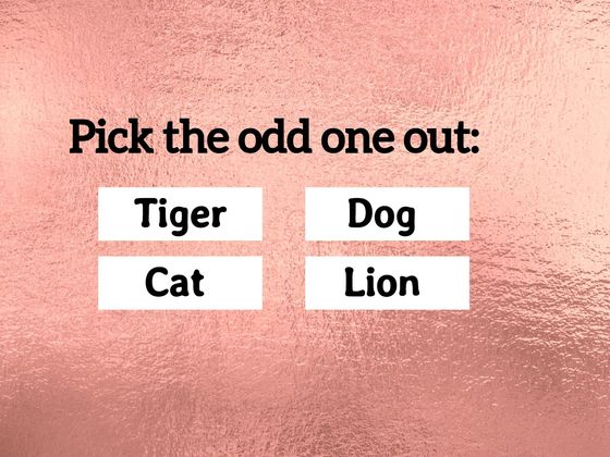 No One Can Score 10/15 In This IQ Test And It's Driving The Internet Wild