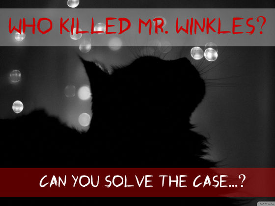 Who Killed Mr. Winkles!? The Curious Case Of The Cat Detective!