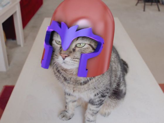 Which Super Villain Is Your Cat?