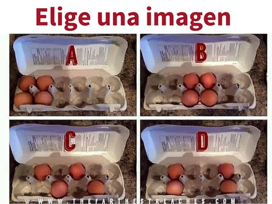 ¿Cuál es tu nivel de TOC?