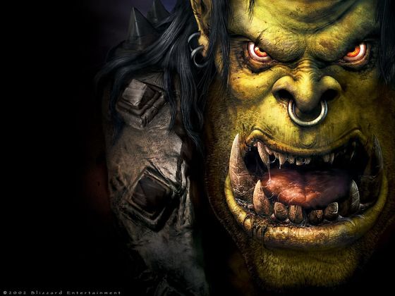Which Warcraft Race Should You Be Reborn As?