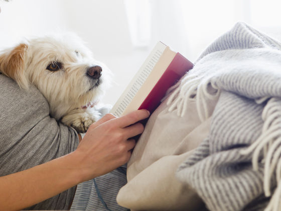 Quiz: Which YA novel would you be in?
