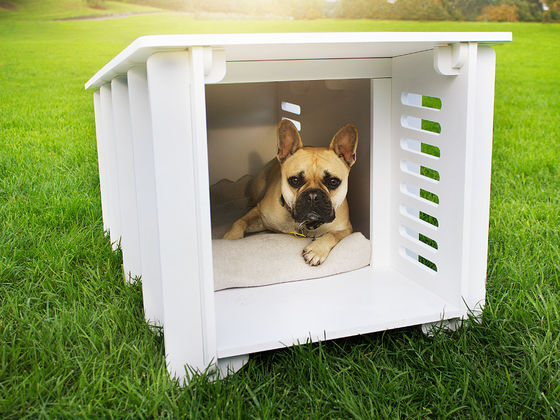 Pick Your Favorite Puppies And We'll Show You Your Dog's Dream House!