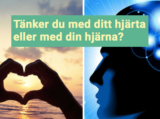 TEST: Tänker du med ditt hjärta eller med din hjärna?