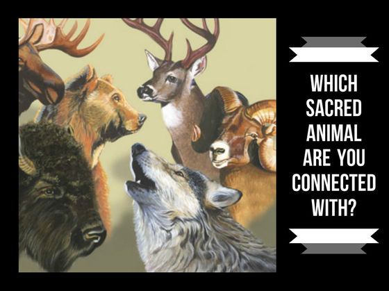 Which Sacred Animal Are You Connected With?