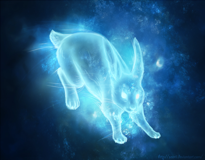 Quelle Est Mon Patronus Harry Potter Harry Potter, recettes et magies