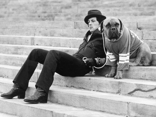 Movie Trivia Quizzes Sylvester Stallone Playbuzz