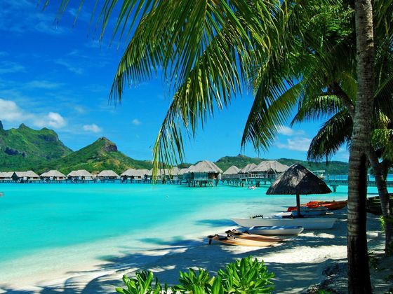 Where Should You Go This Summer?