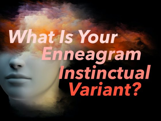 What is Your Enneagram Instinctual Variant?