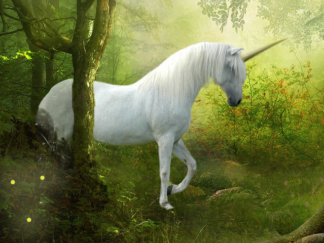 Unicorn