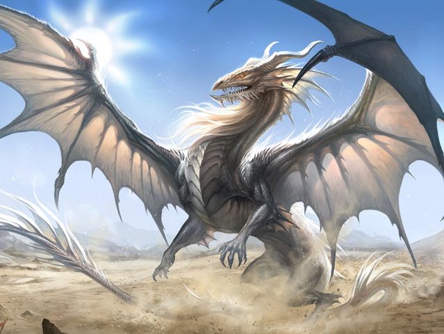 Dragon