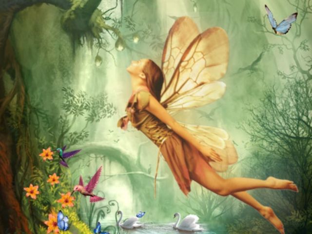 Fairy