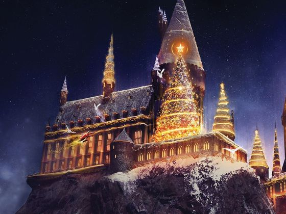 Spend Christmas At Hogwarts And We'll Sort You Into A Hogwarts House