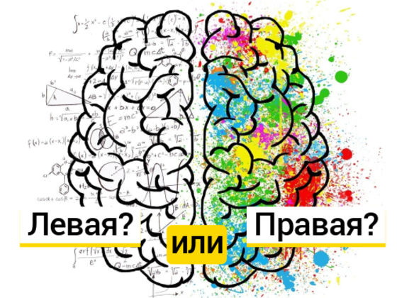 Тест: правая или левая, какая часть вашего мозга управляет вашими действиями?
