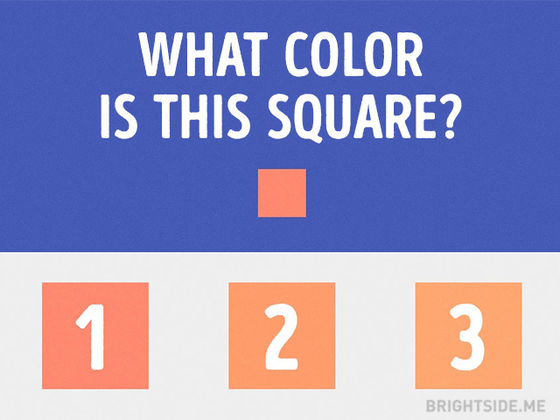 This visual test will determine what kind of person you are