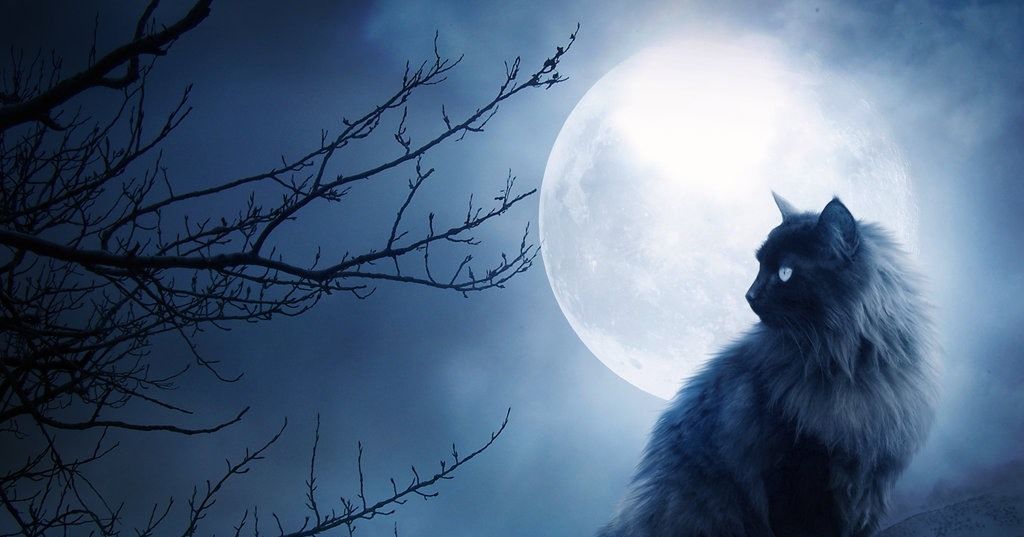 What animal is your familiar? Playbuzz