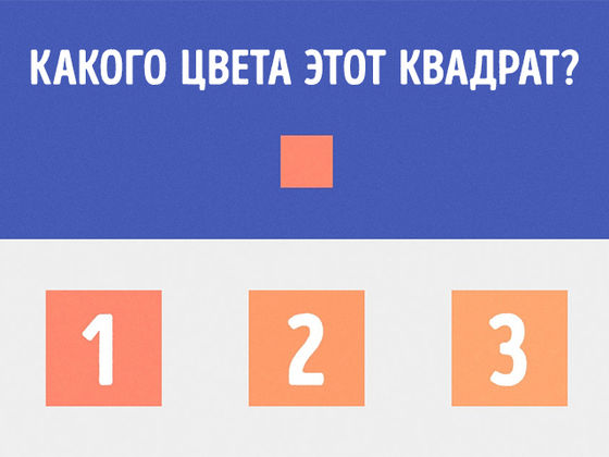 Этот визуальный тест раскроет все тонкости вашего типа личности